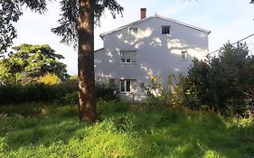 Apartment Luana